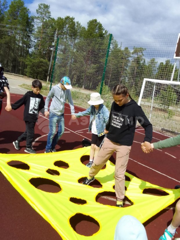 Гигантский сыр Гигантский сыр