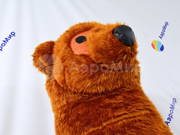 Костюм Медведя Костюм Медведя