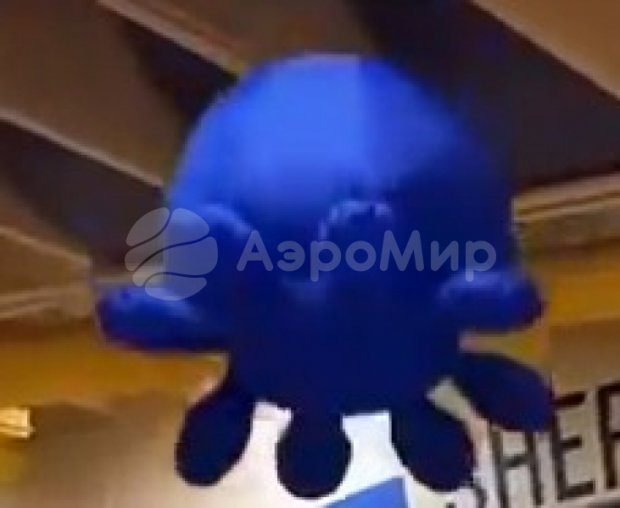 Осьминог-подушка Осьминог-подушка