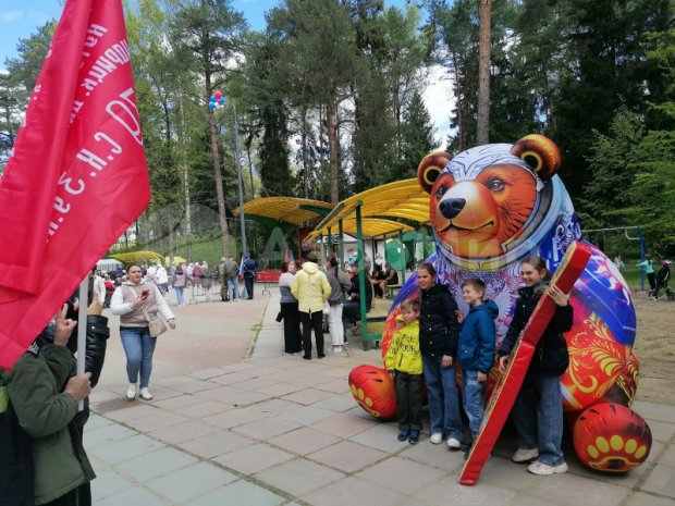 Медведь Медведь