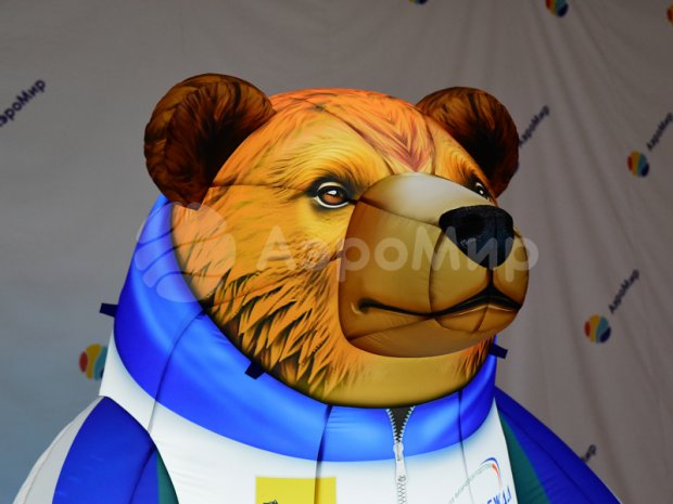 Медведь Медведь