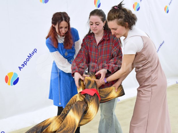 Мега косичка Мега косичка