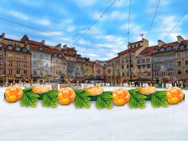 Морошка Морошка