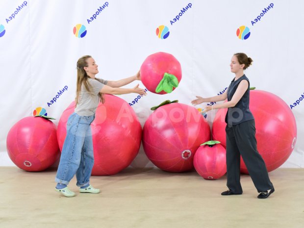 Большой надувной мяч Большой надувной мяч
