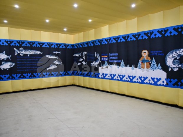 Надувной павильон Надувной павильон