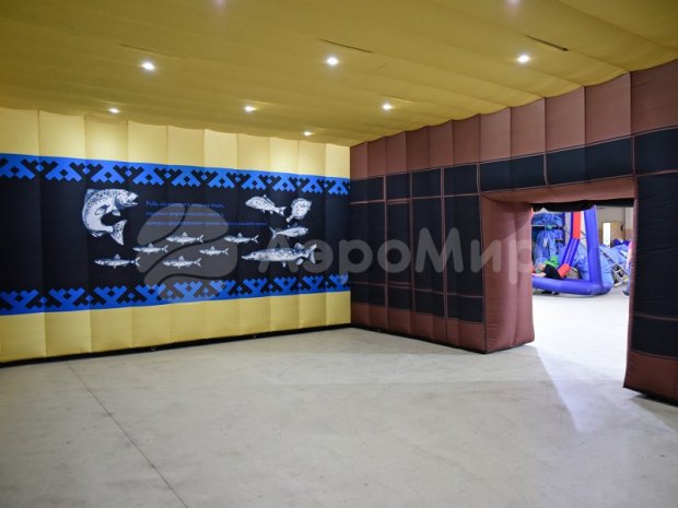 Надувной павильон Надувной павильон