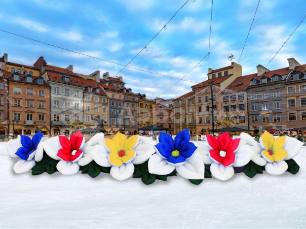 Незабудка с раскрытием Незабудка с раскрытием