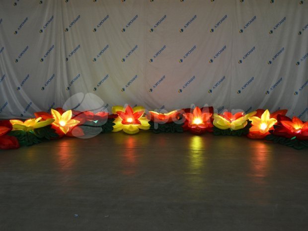 Незабудка Незабудка