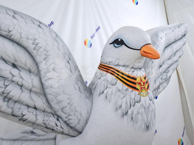 Голубь Мира Голубь Мира