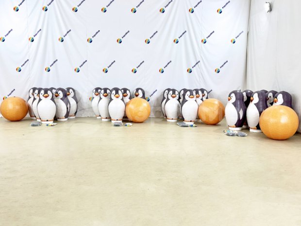 Большие кегли с мячом Большие кегли с мячом