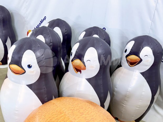 Большие кегли с мячом Большие кегли с мячом