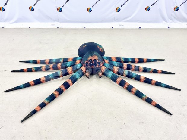 Паук-подушка Паук-подушка