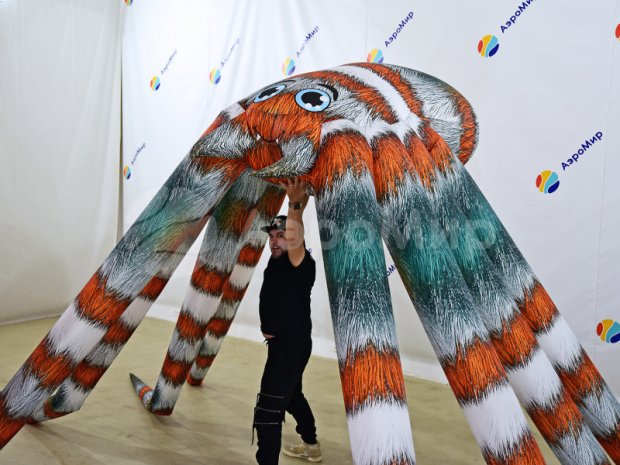 Паук-подушка Паук-подушка