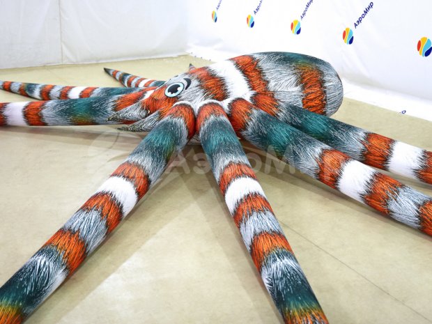 Паук-подушка Паук-подушка