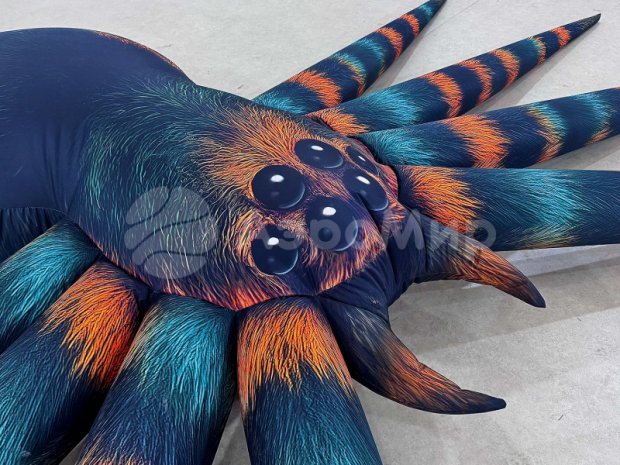 Паук-подушка Паук-подушка