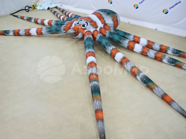 Паук-подушка Паук-подушка