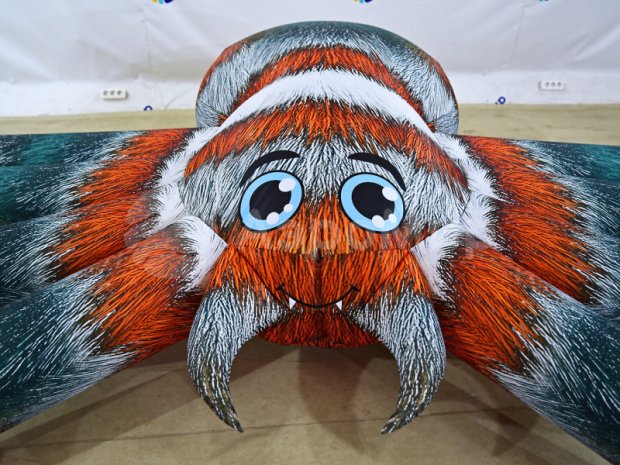 Паук-подушка Паук-подушка