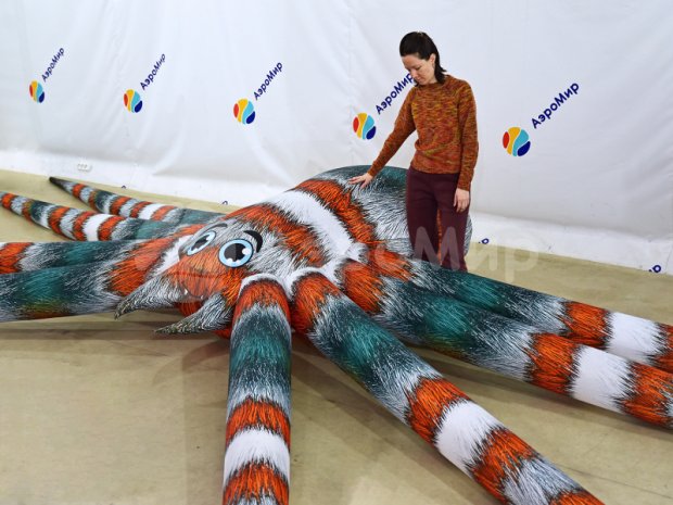 Паук-подушка Паук-подушка