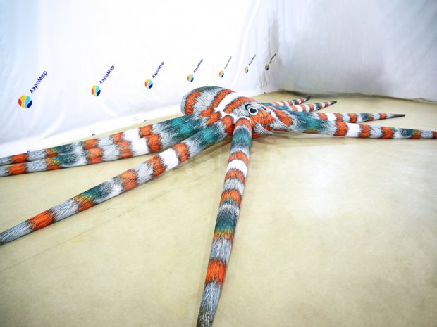 Паук-подушка Паук-подушка