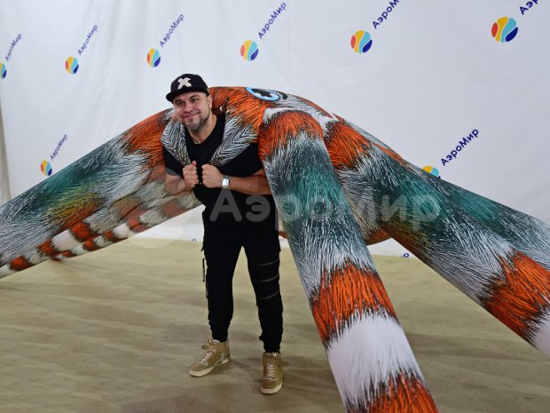 Паук-подушка Паук-подушка