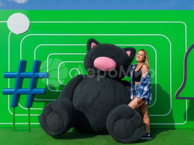 Надувной кот Надувной кот