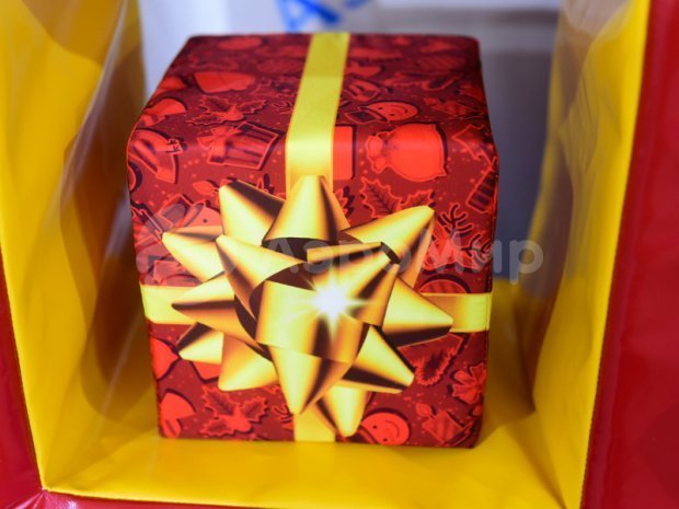 Гигантская Рогатка Гигантская Рогатка