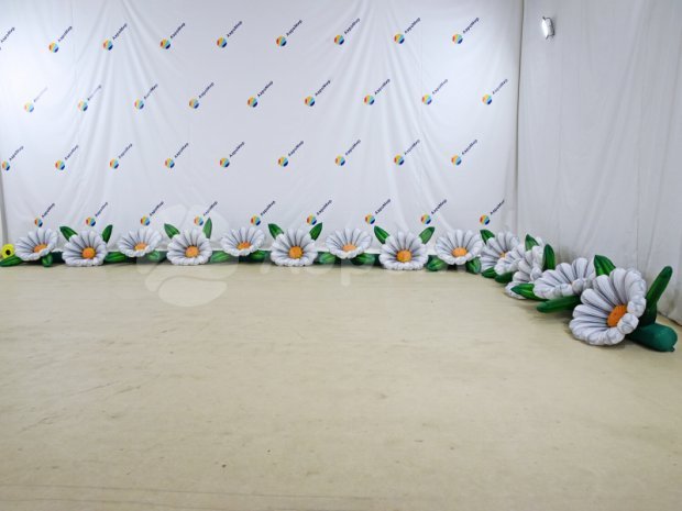 Ромашка Ромашка