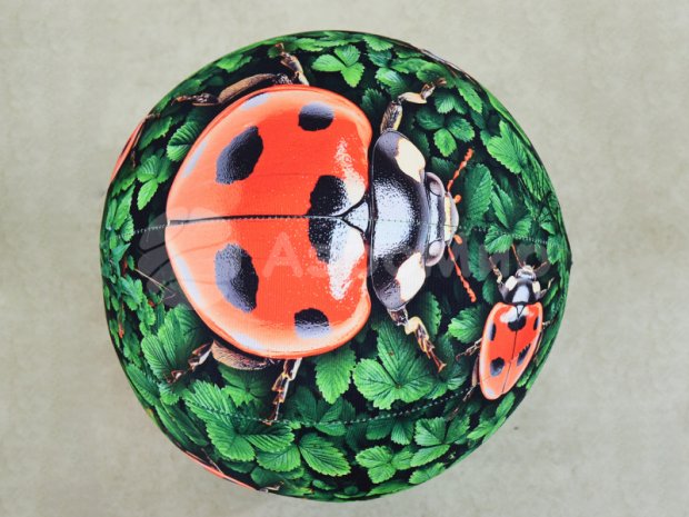 Гигантский сачок Гигантский сачок