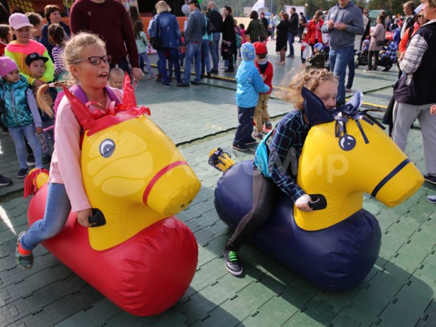 Лошадиные скачки Лошадиные скачки