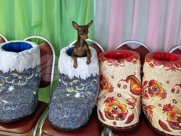 Валенки Валенки