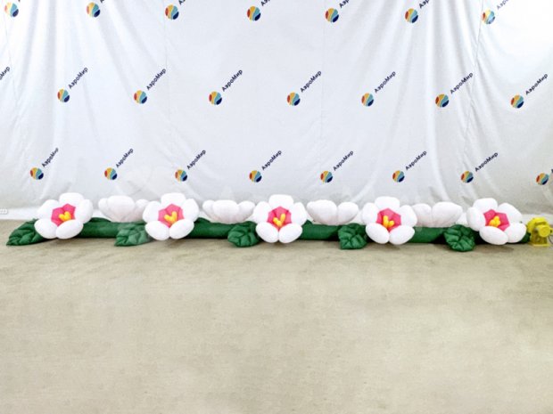 Яблоня Яблоня