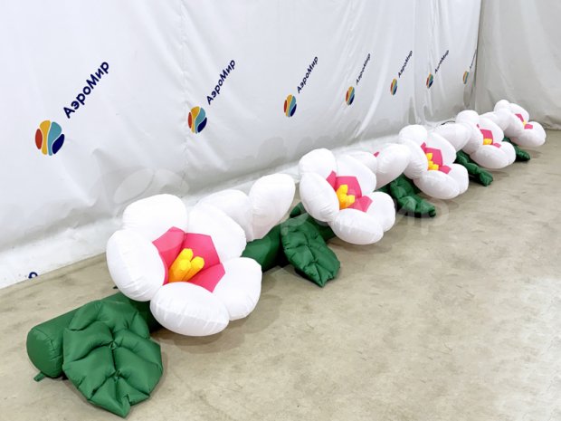 Яблоня Яблоня