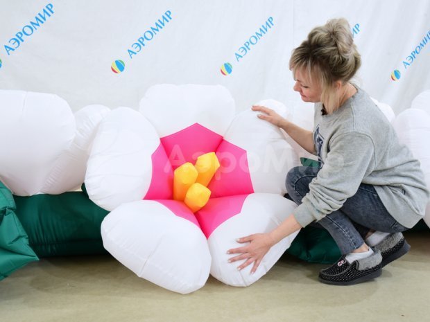 Яблоня Яблоня