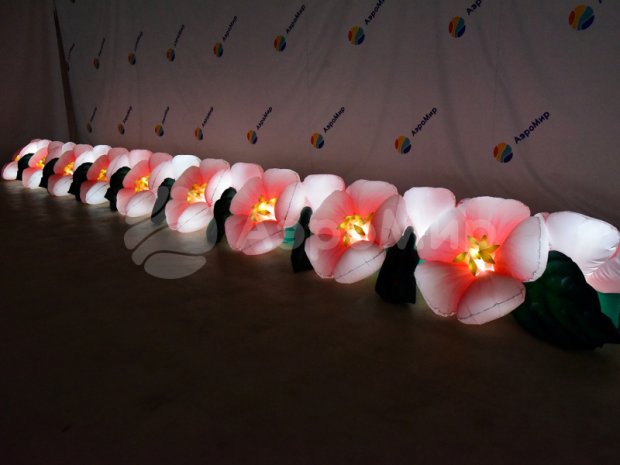 Яблоня с раскрытием Яблоня с раскрытием