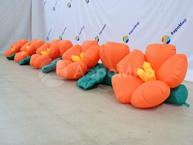 Яблоня Яблоня