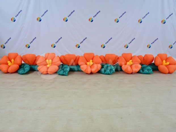 Яблоня с раскрытием Яблоня с раскрытием