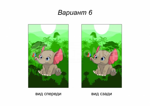 Жилет Жилет