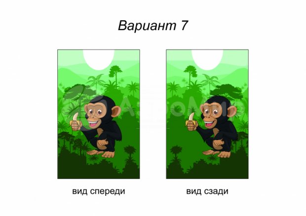 Жилет Жилет