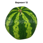 арбуз (№12)