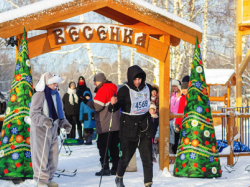 Ленивая ёлка