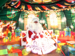 День рождения Деда Мороза