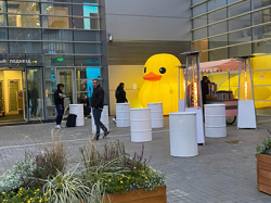 Готовые отраслевые решения для рекламы и продвижения бизнеса