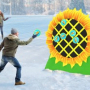 Дартс подсолнух