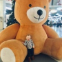 Плюшевый мишка