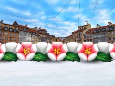 вариант 1