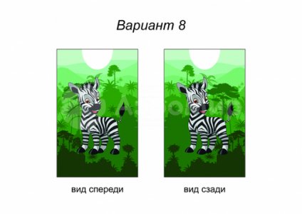 зебра (№8)