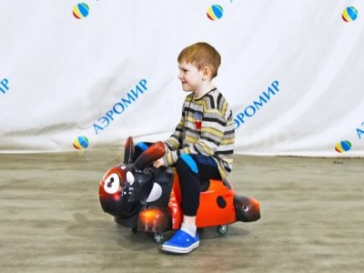 божья коровка (№1)