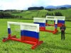 Прямоугольные ворота с окнами Каскад 2.0