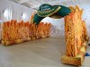 Надувная арка-туннель Колосья