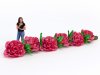 Пневмогирлянда из Пионов с эффектом раскрытия